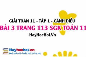 Giải bài 3 trang 113 Toán 11 tập 1 SGK Cánh Diều